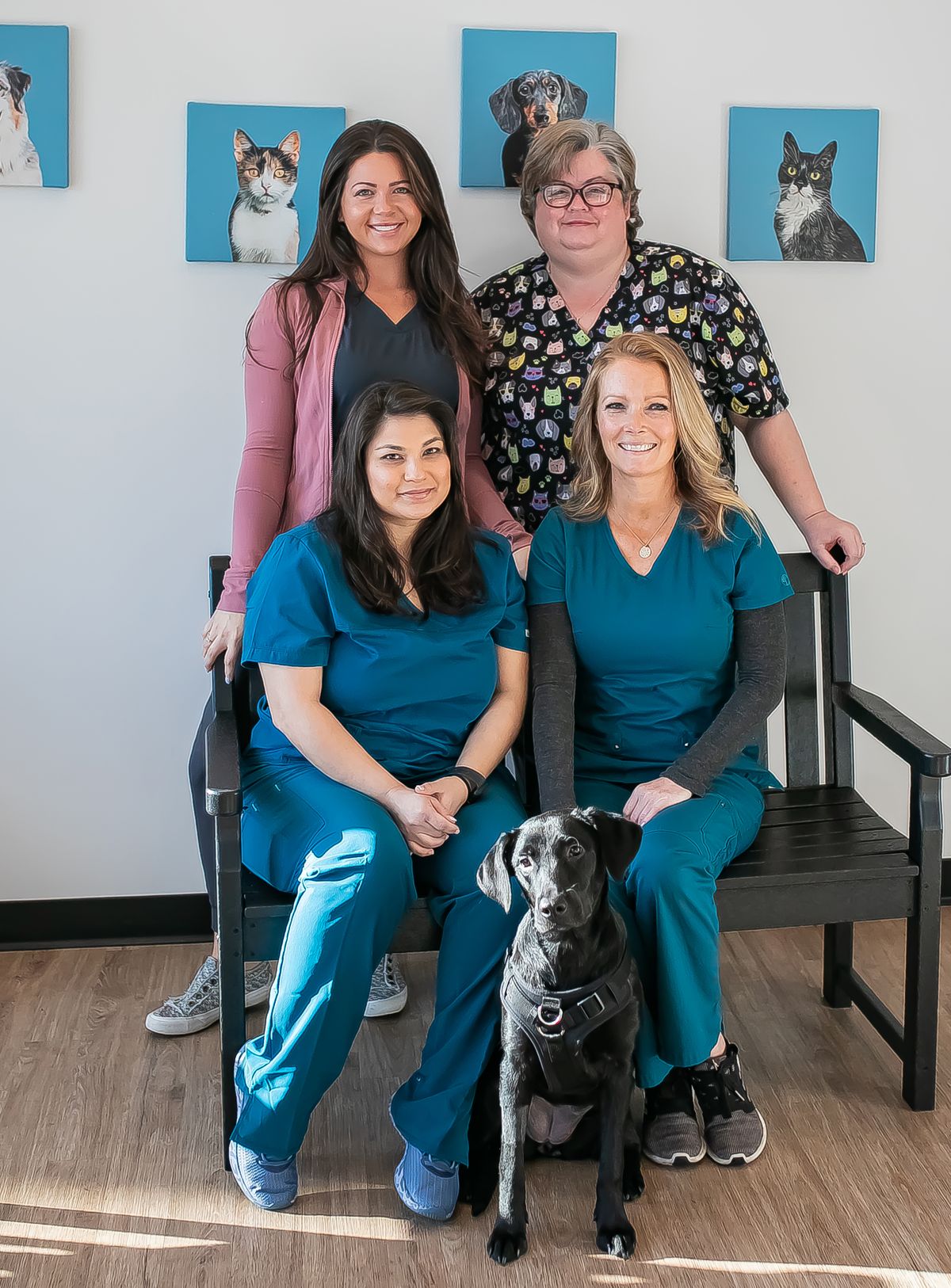 Meet The Team Veterinary Medical Center Of Hardeville   Blissful ~ Carter Small Animal 028 